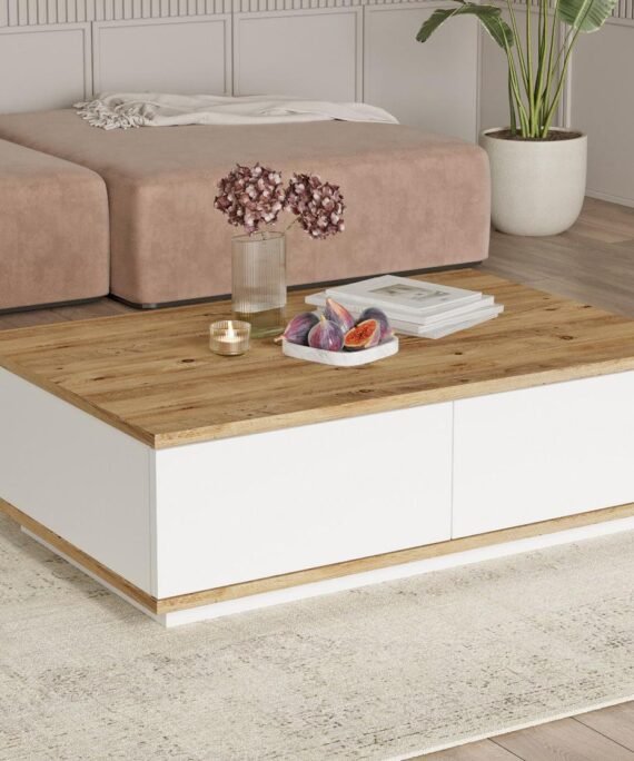 Table basse avec 2 portes - Naturel et Blanc - LOTULA